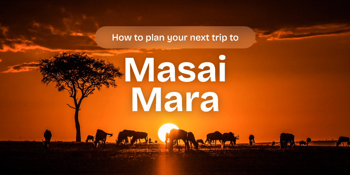 Masai-Mara